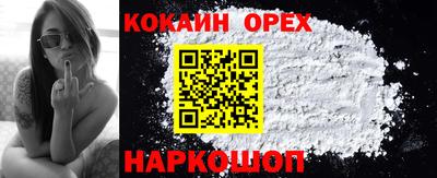 кокс Кандалакша