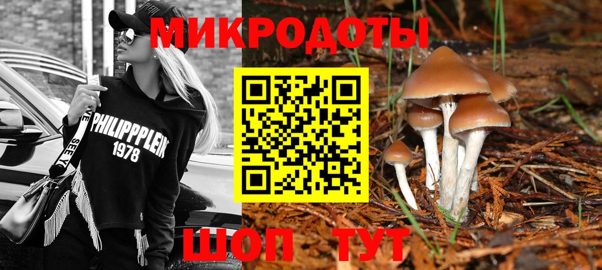 Галлюциногенные грибы мухоморы Красный Сулин