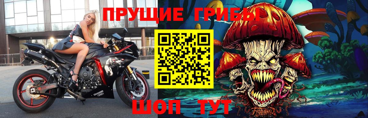 Псилоцибиновые грибы мицелий  Вход с VPN  наркотики  Красный Сулин 